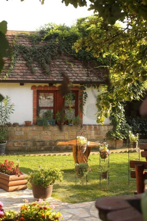 Ilkicev Kucerak Apartman Vrdnik Exterior photo